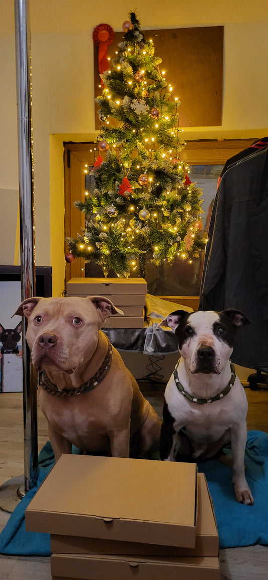 Knabberbox Hund